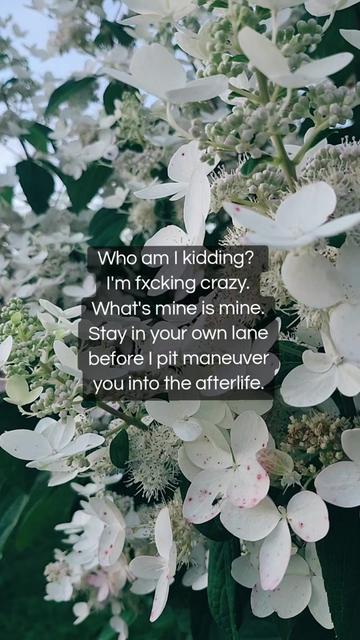 @ᴏꜰ ᴛʜᴇ ɴᴏʀᴛʜ 🌻✨️