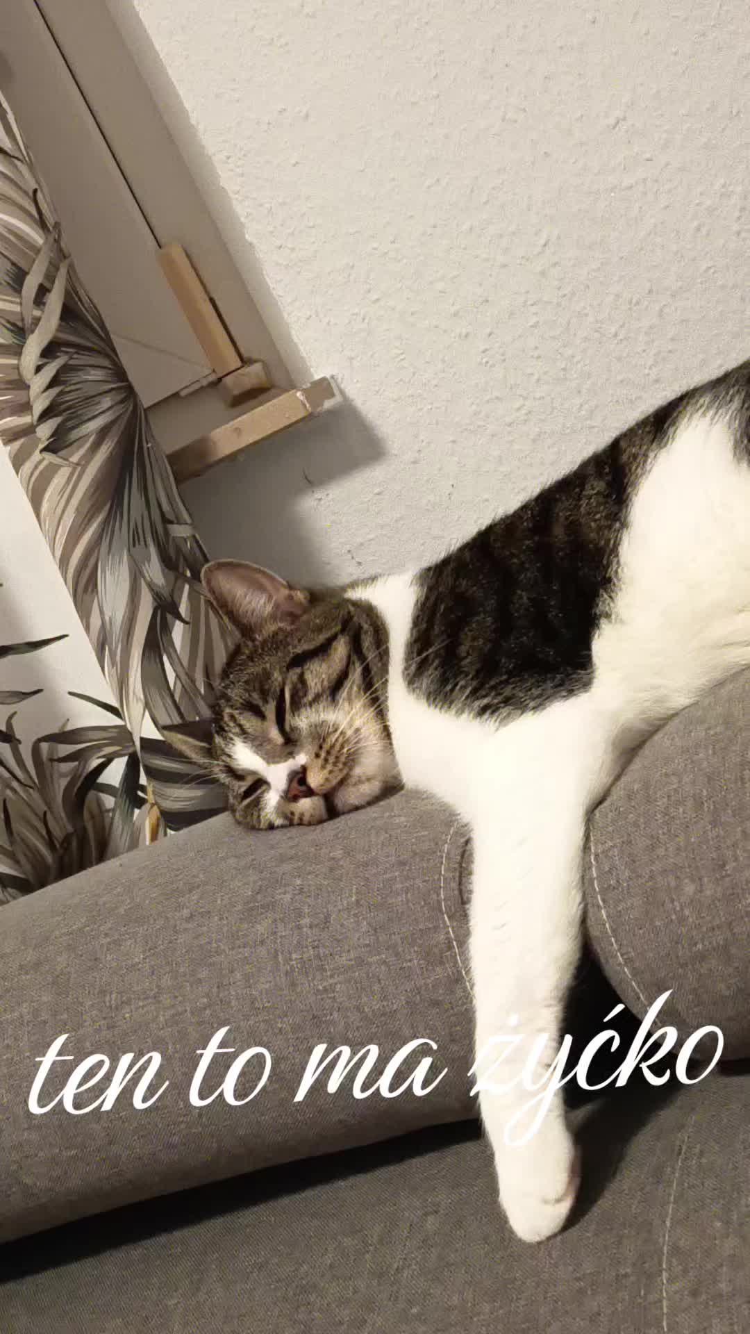 @nietuzinkowa 👌👌