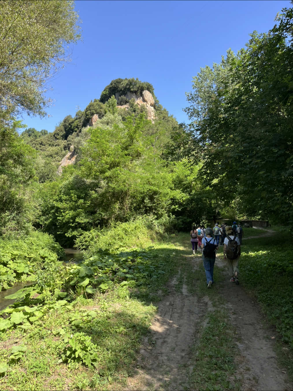 @Maremma Green Passion