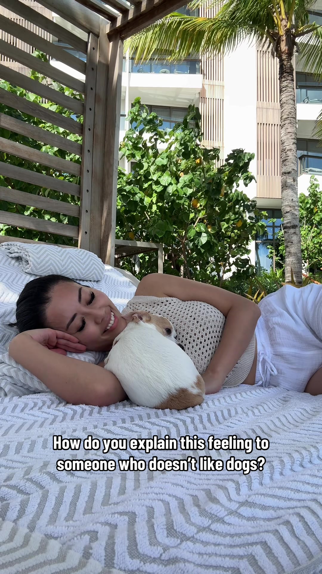 @Bao the Chihuahua