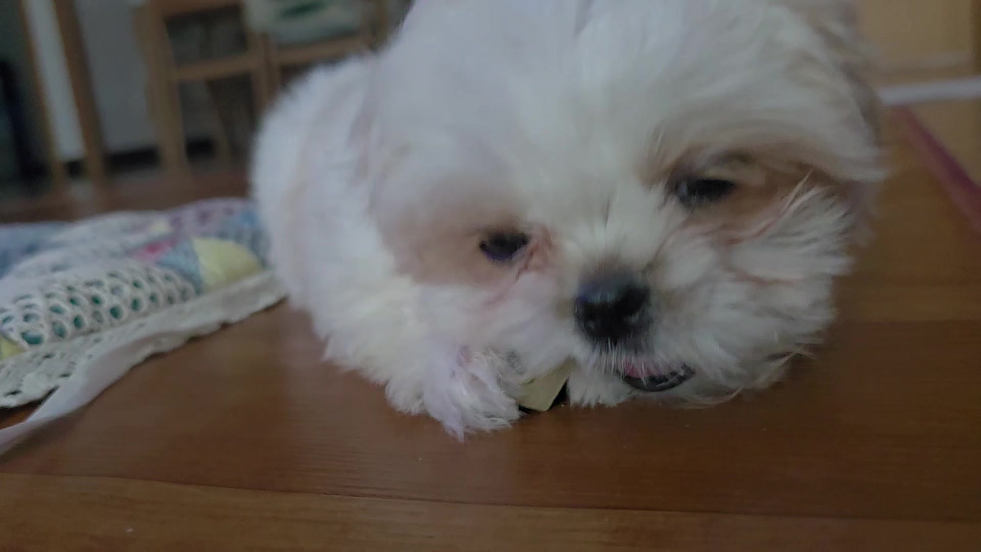 @또롱이