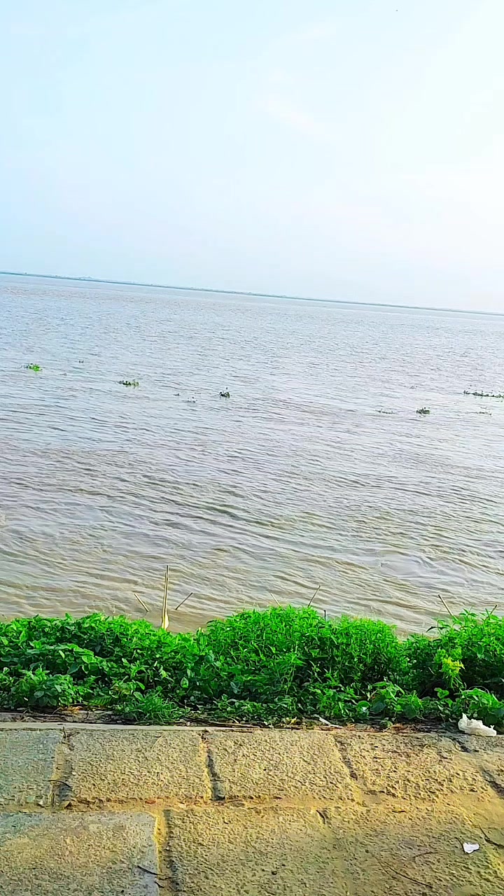 @Bithi Rani