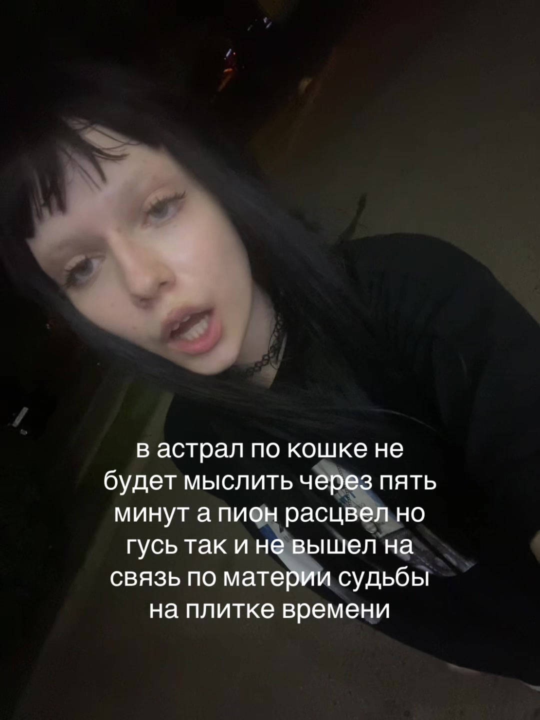@шарлотка