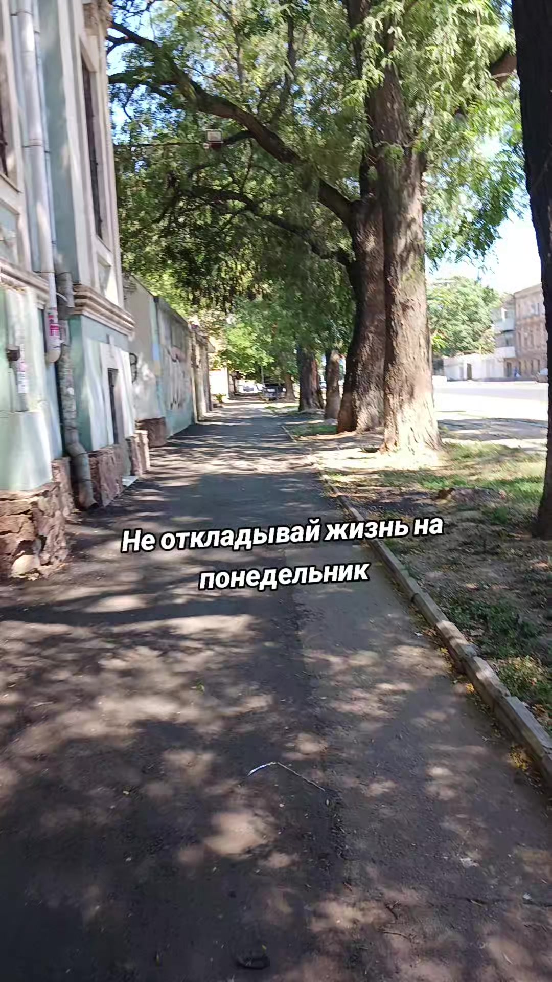 @живу..😉😉😉