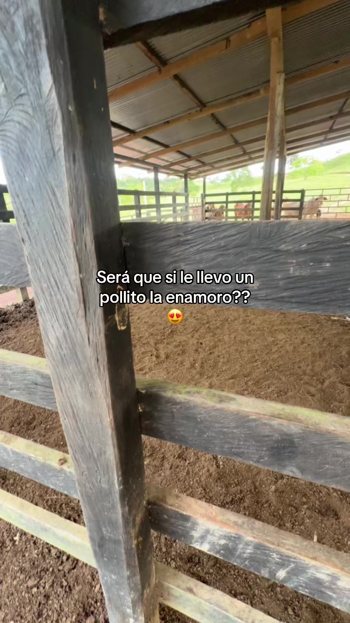 @Didier_🤠