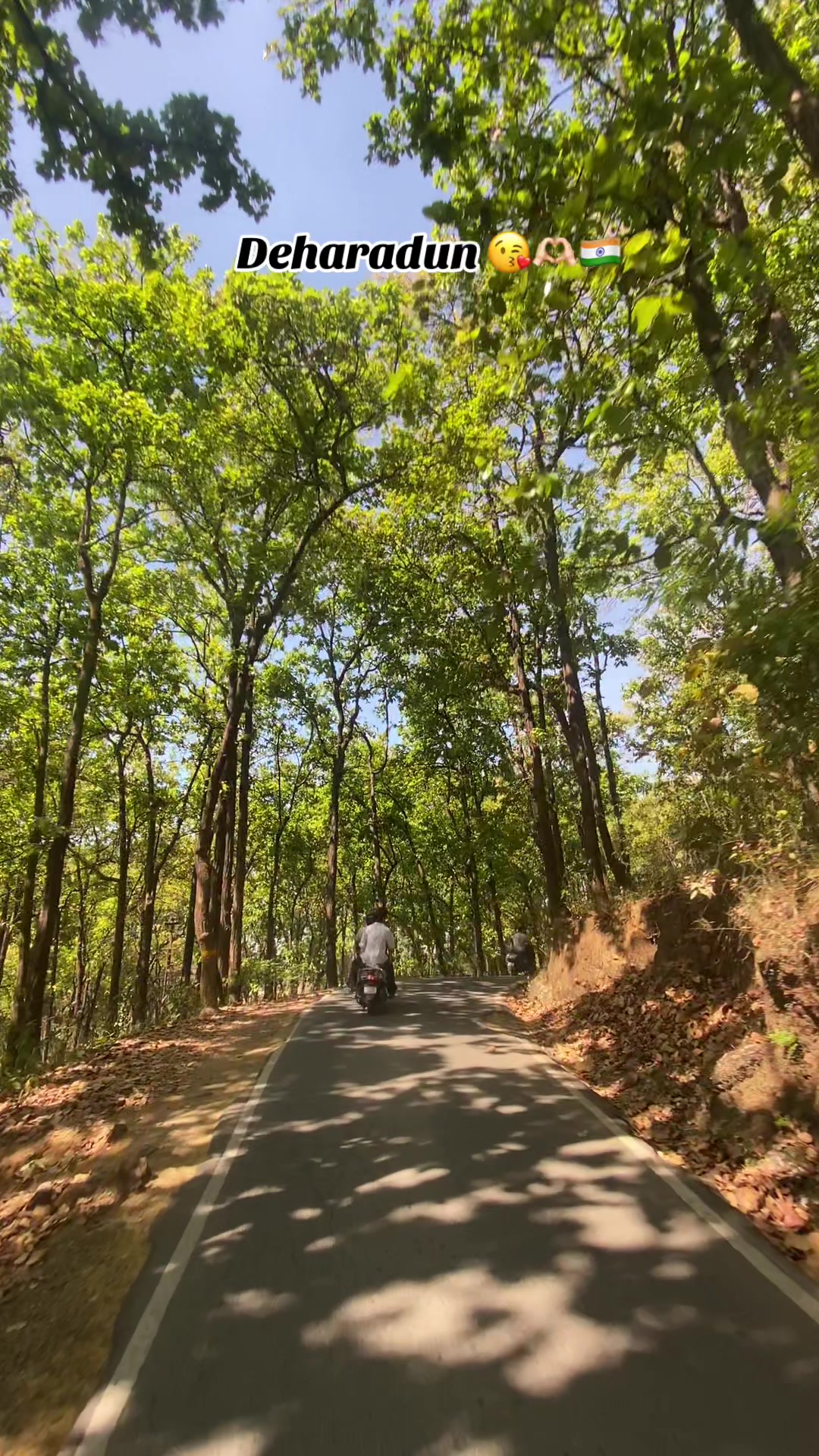 @ KGF___HAUDEE 