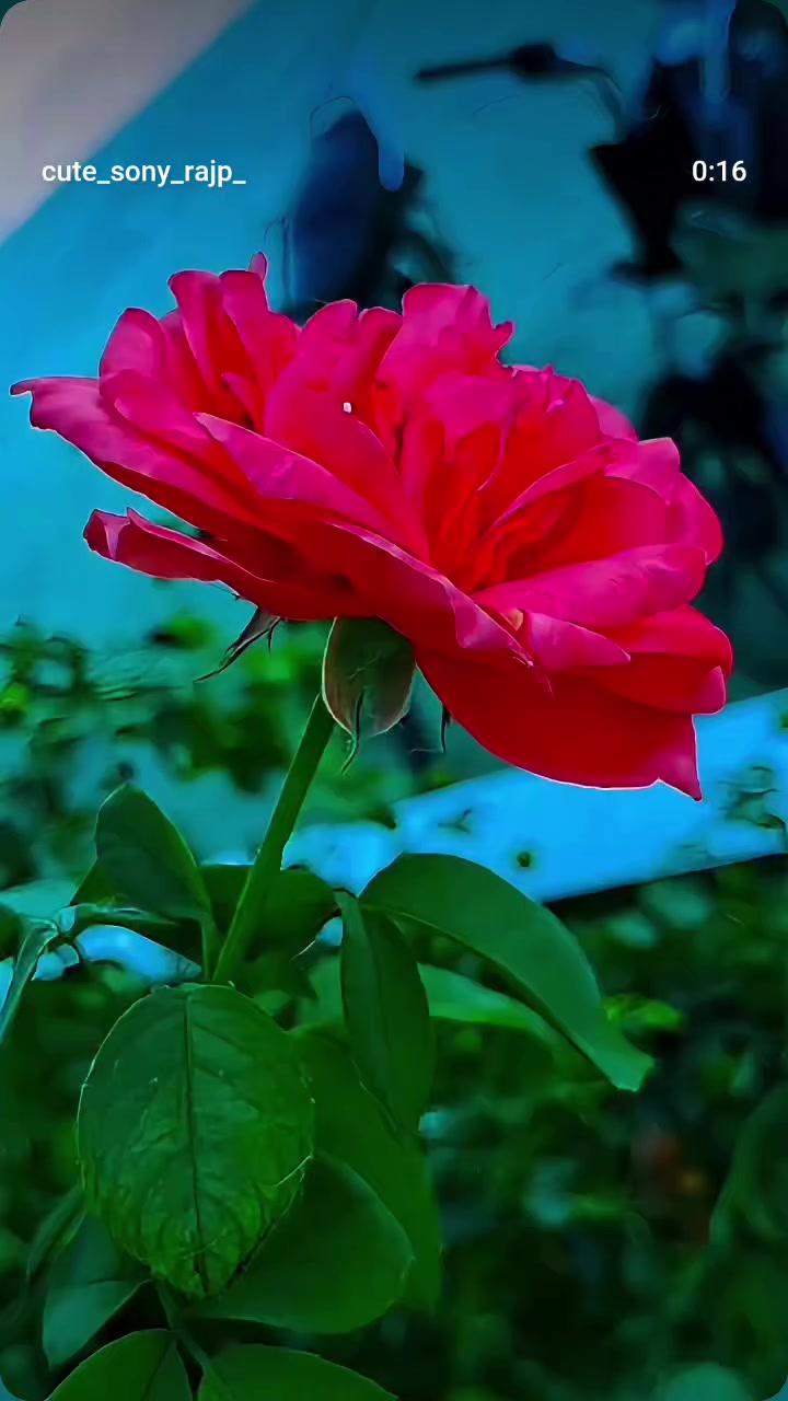 @Binod Ram