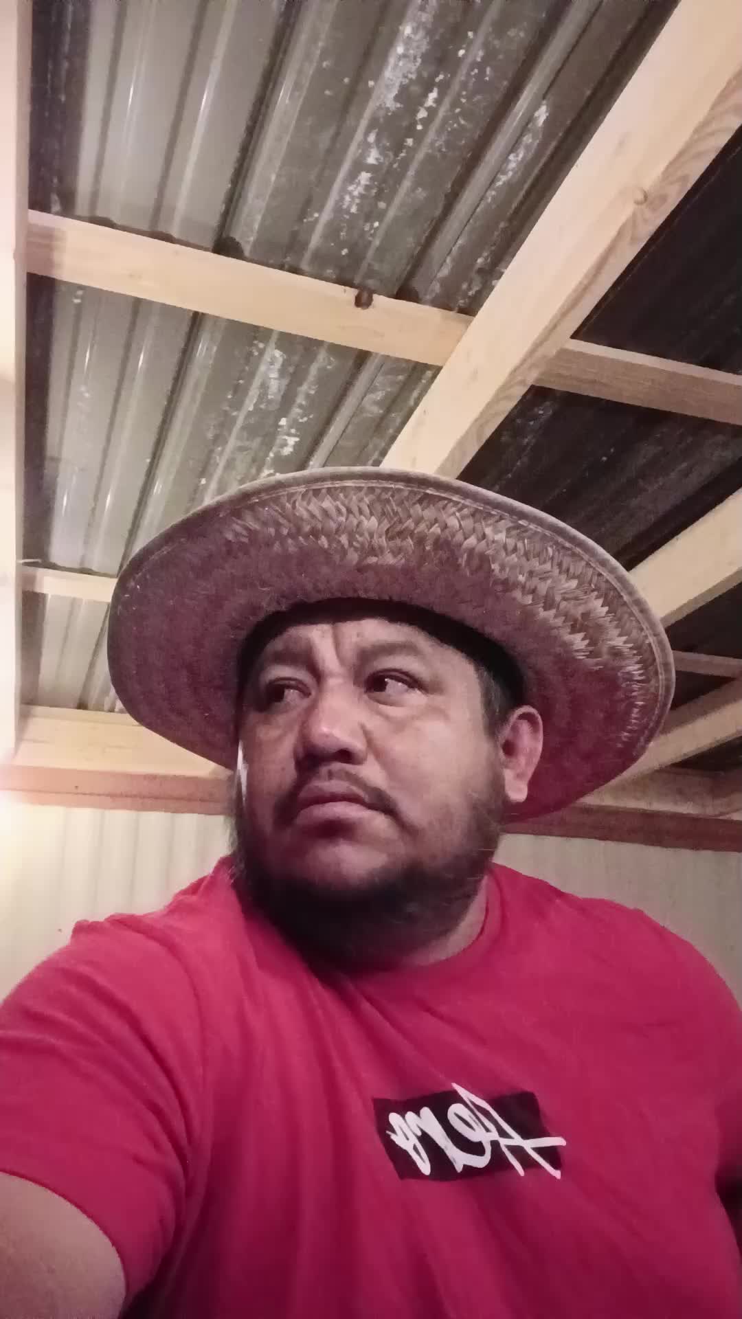 @nacho el jarochito 81