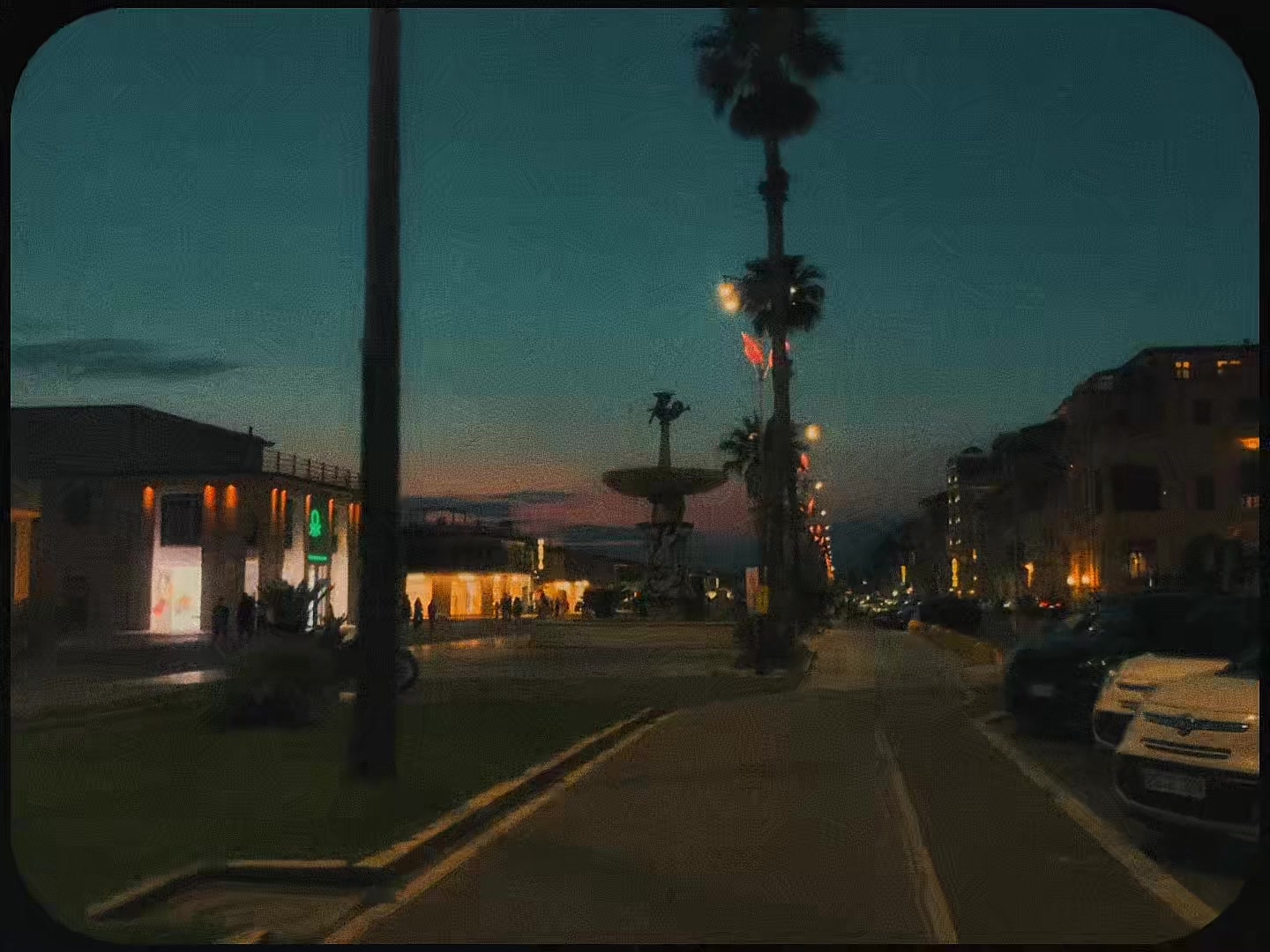 @aurora🥝