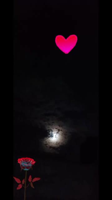 @damaris. mayorga5