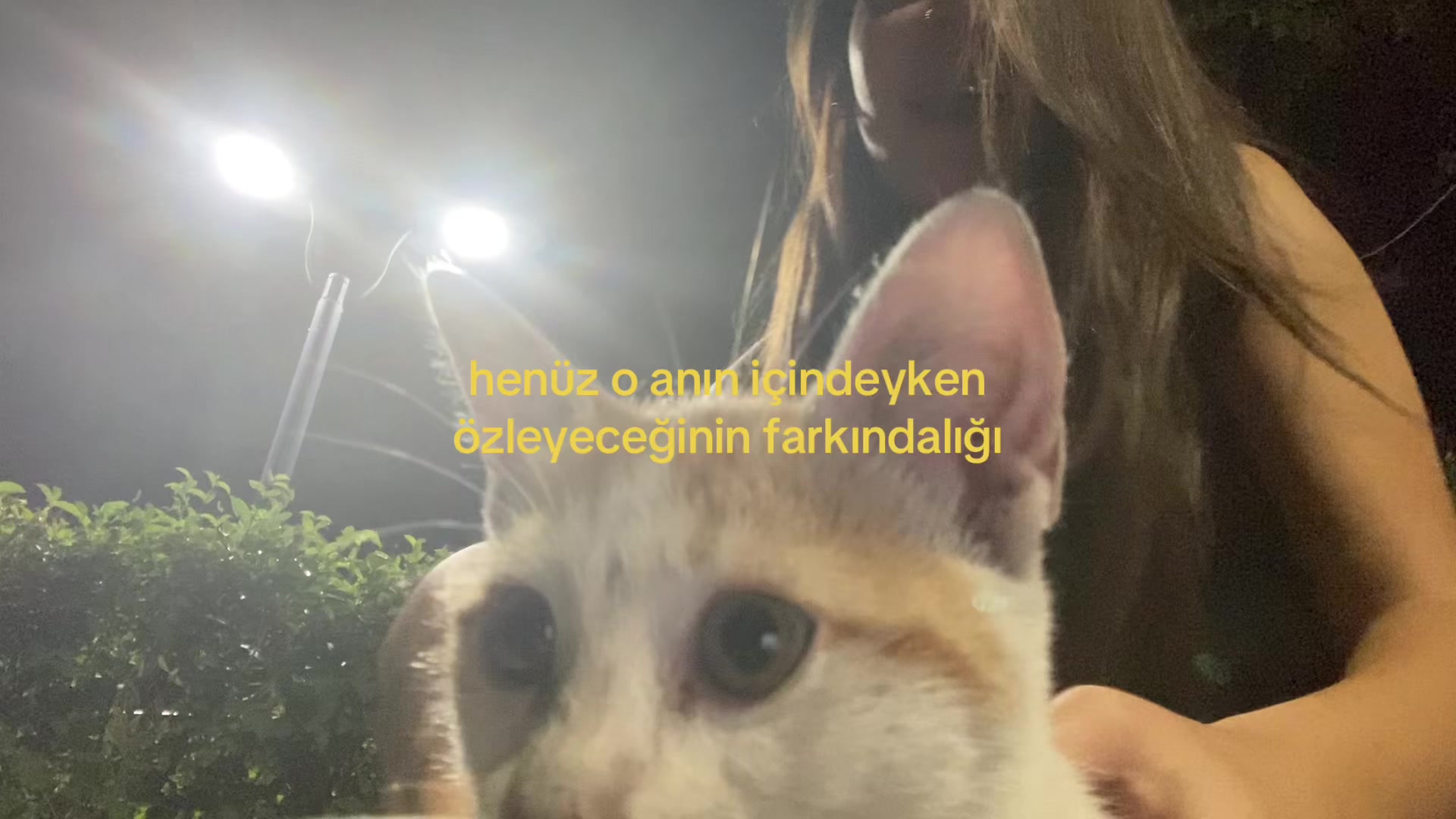 @rüveyda ྀིྀི
