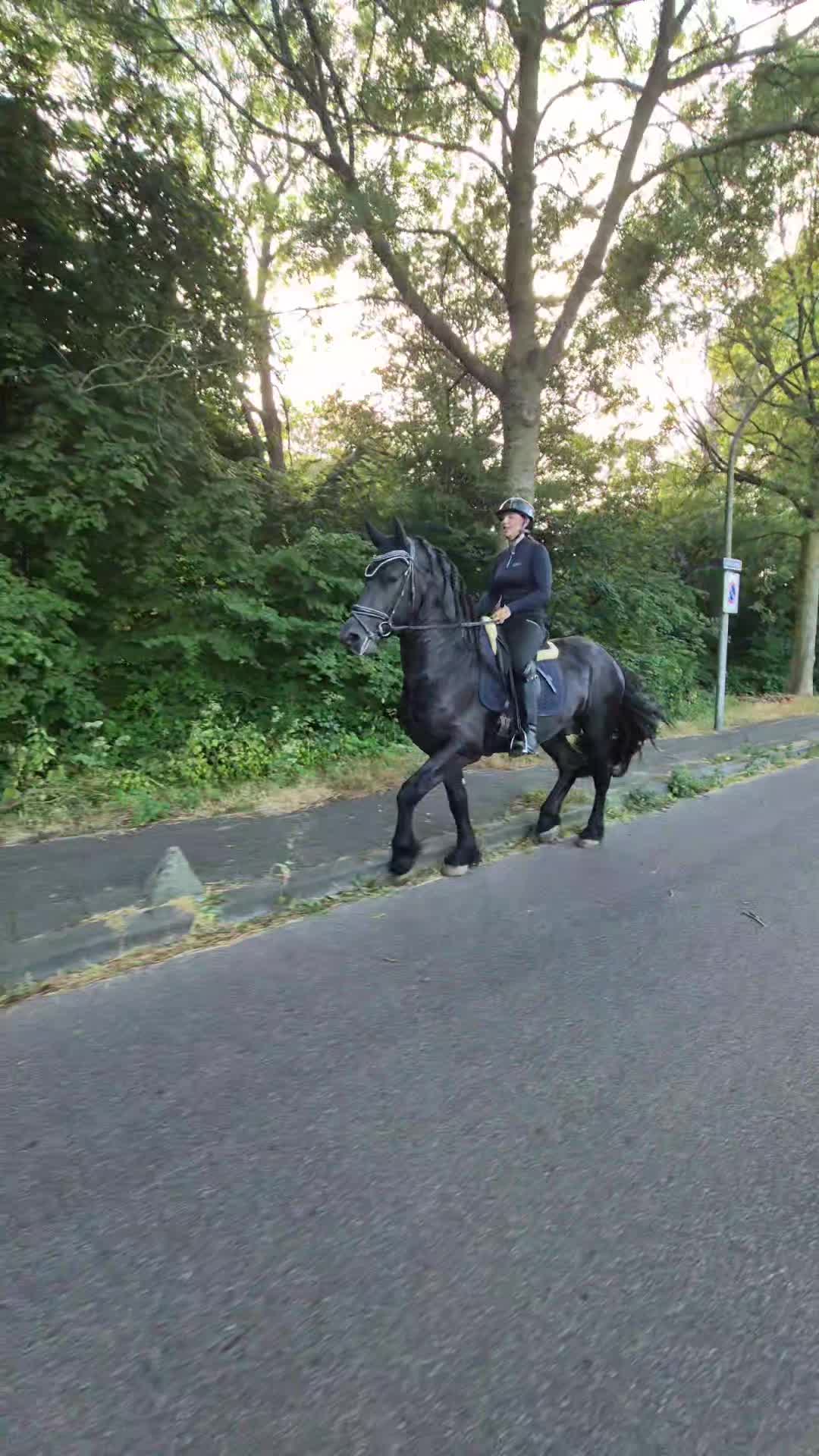 @🇳🇱Lana Van de schuur🇳🇱