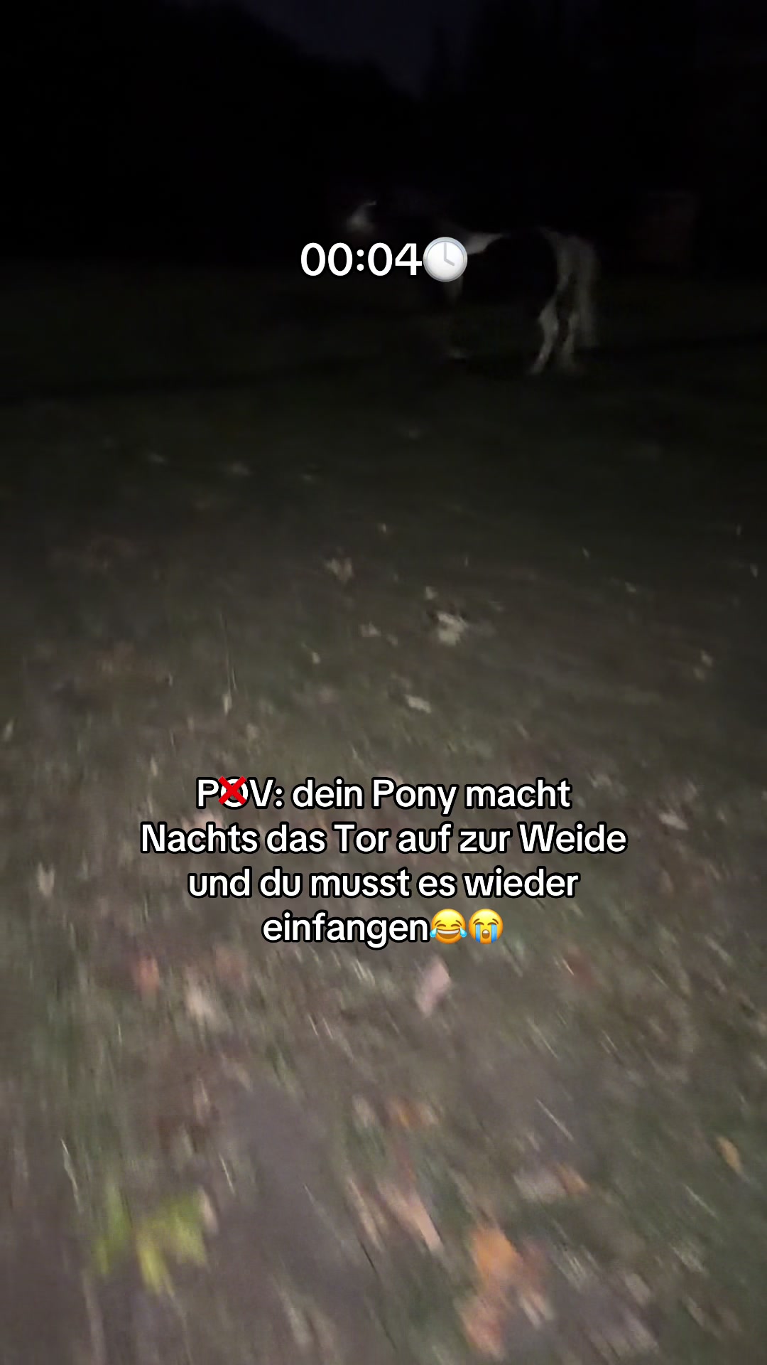 @Leonie Pander