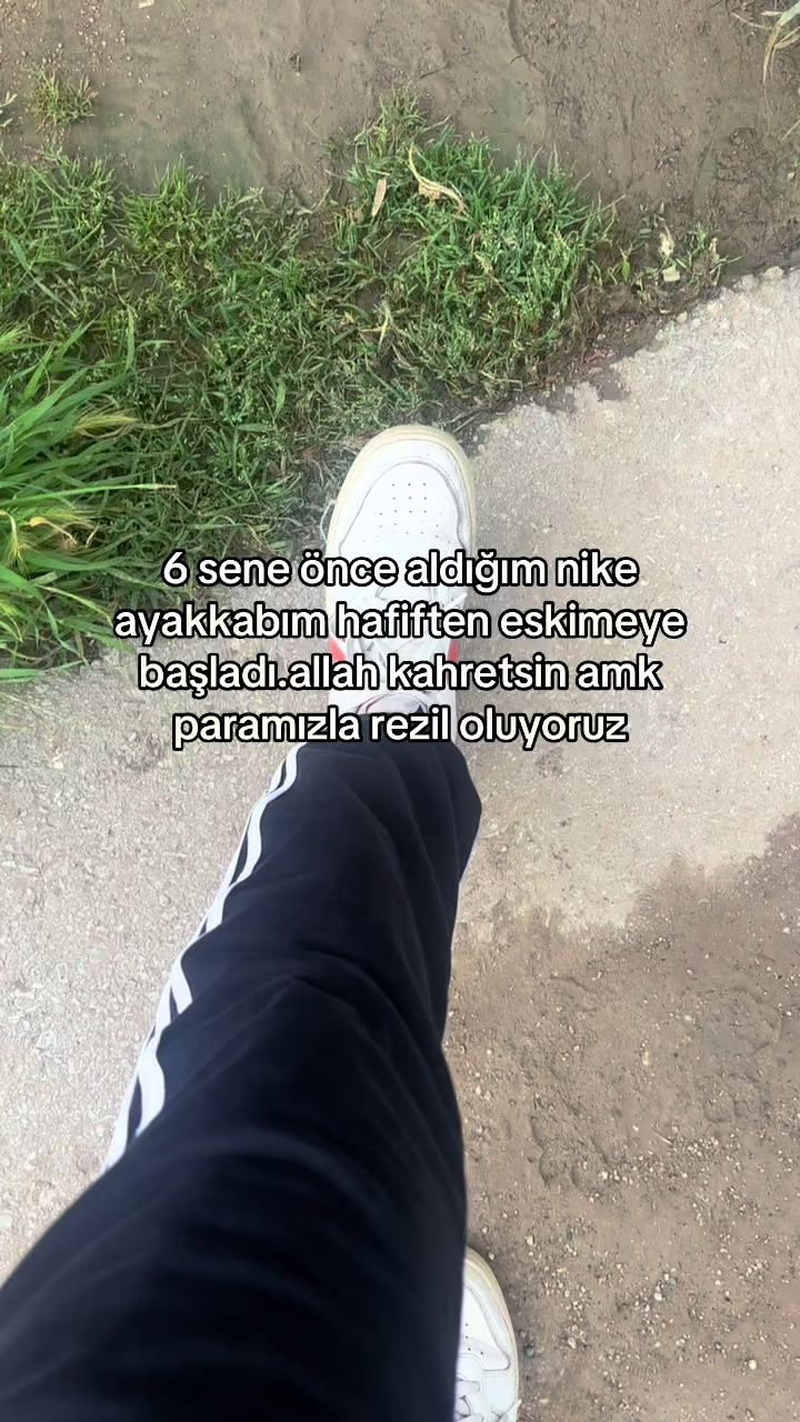 @edev dicle