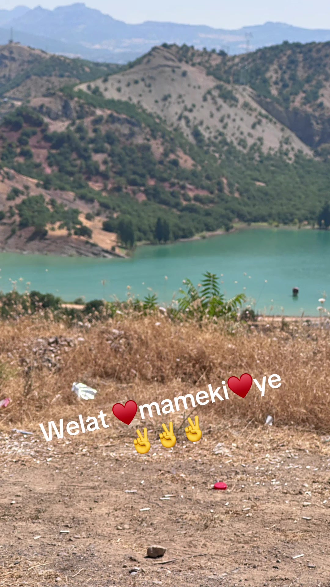 @Birsel mircikmameki62