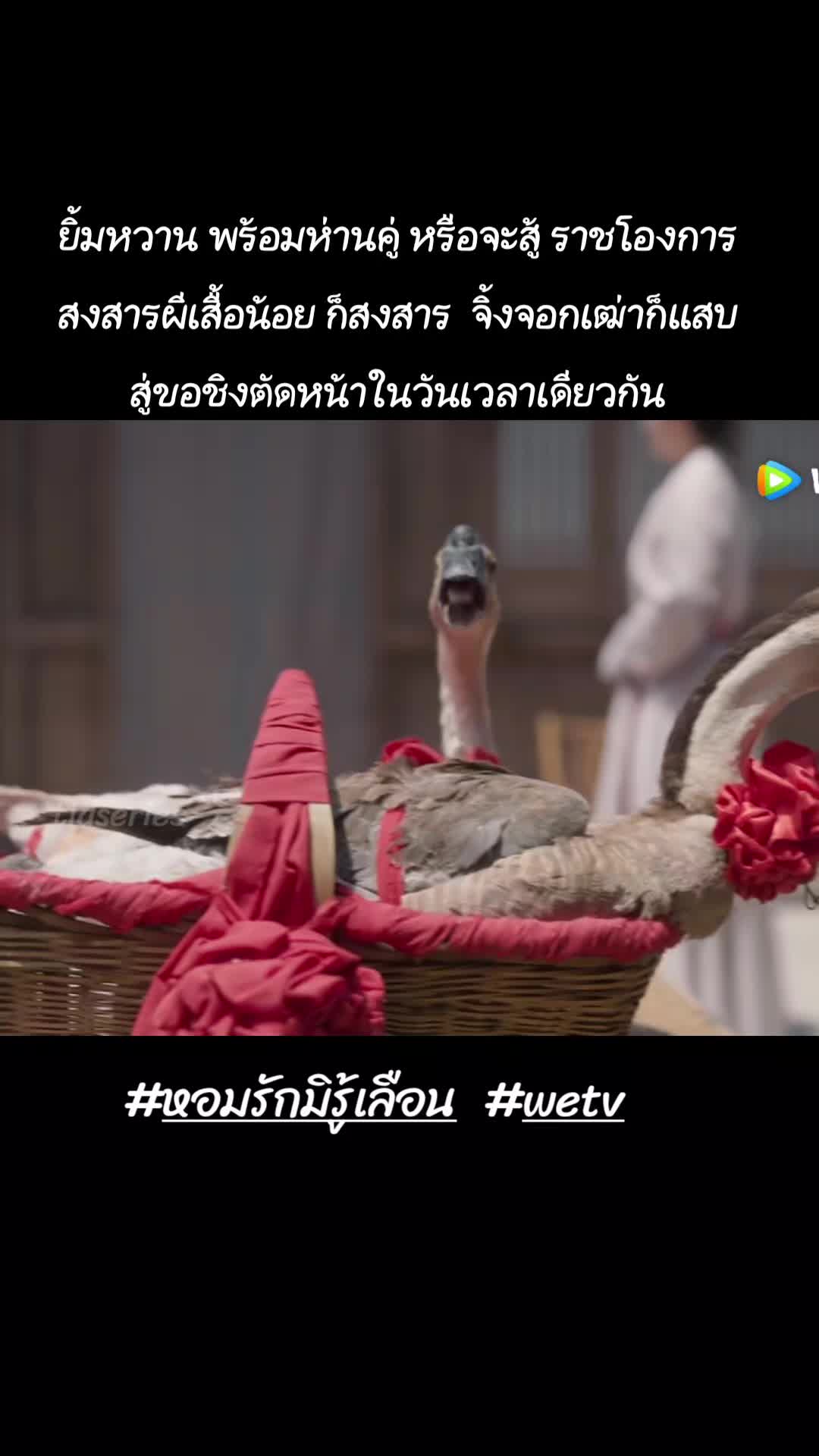 @ติดอยู่ในซีรีย์