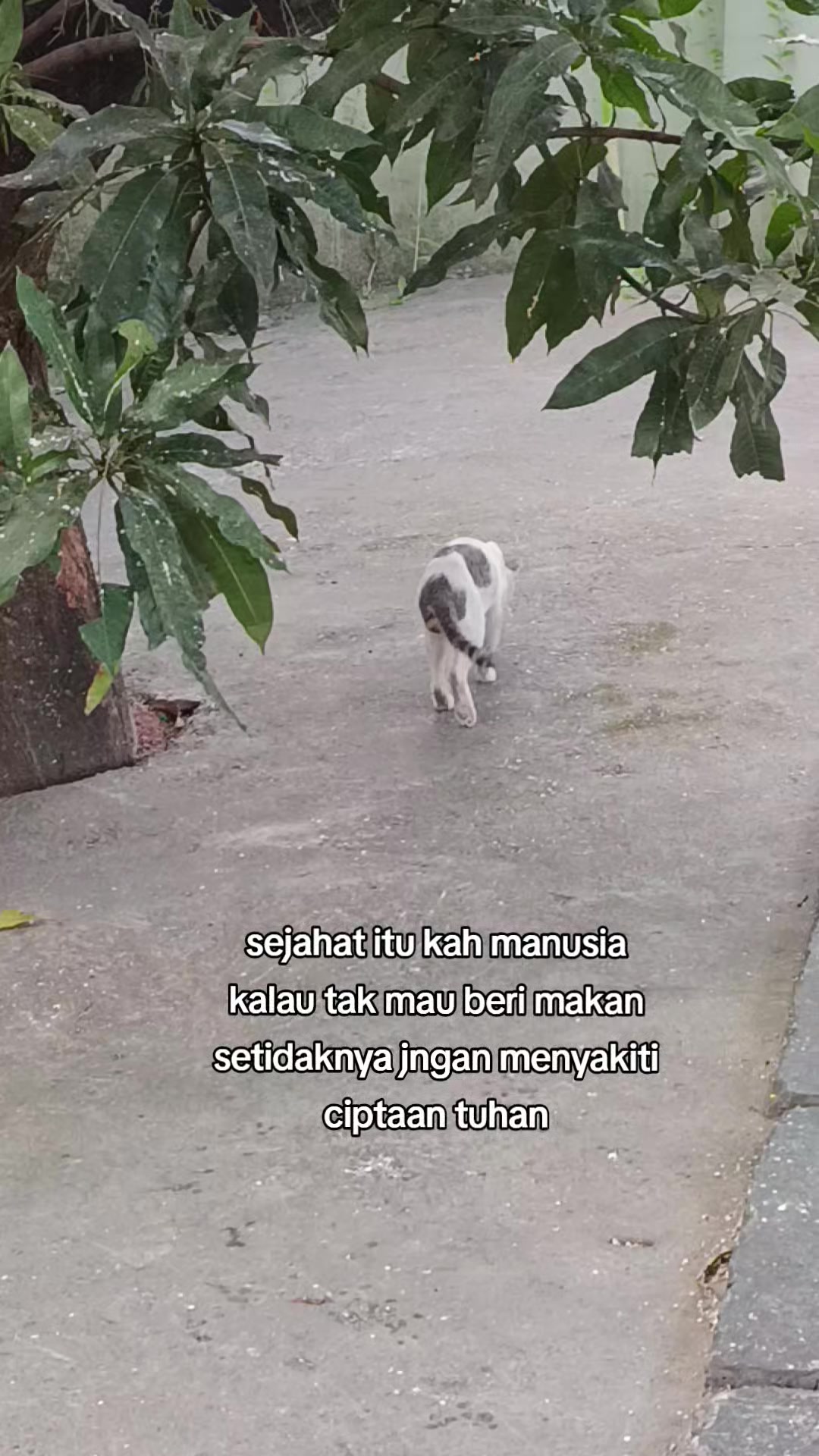 @🇬 🇴 🇷 🇴 🇳 🇹 🇦 🇱 🇴 ⚔️
