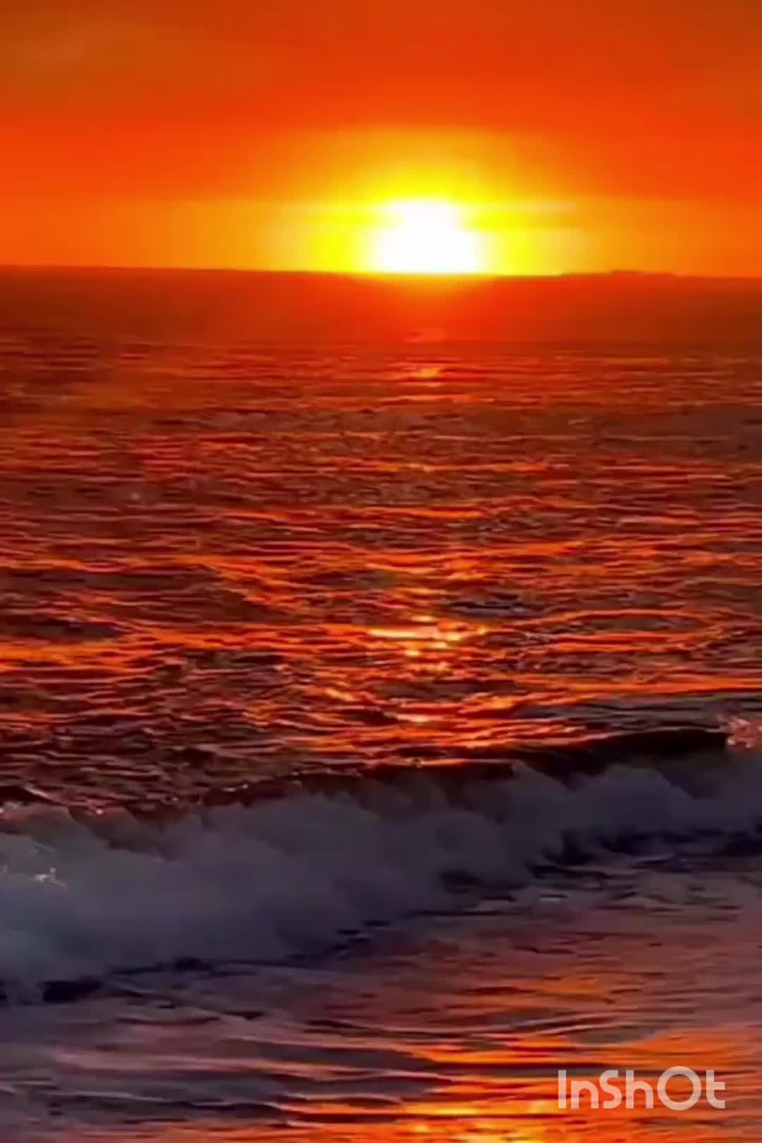 @🌺