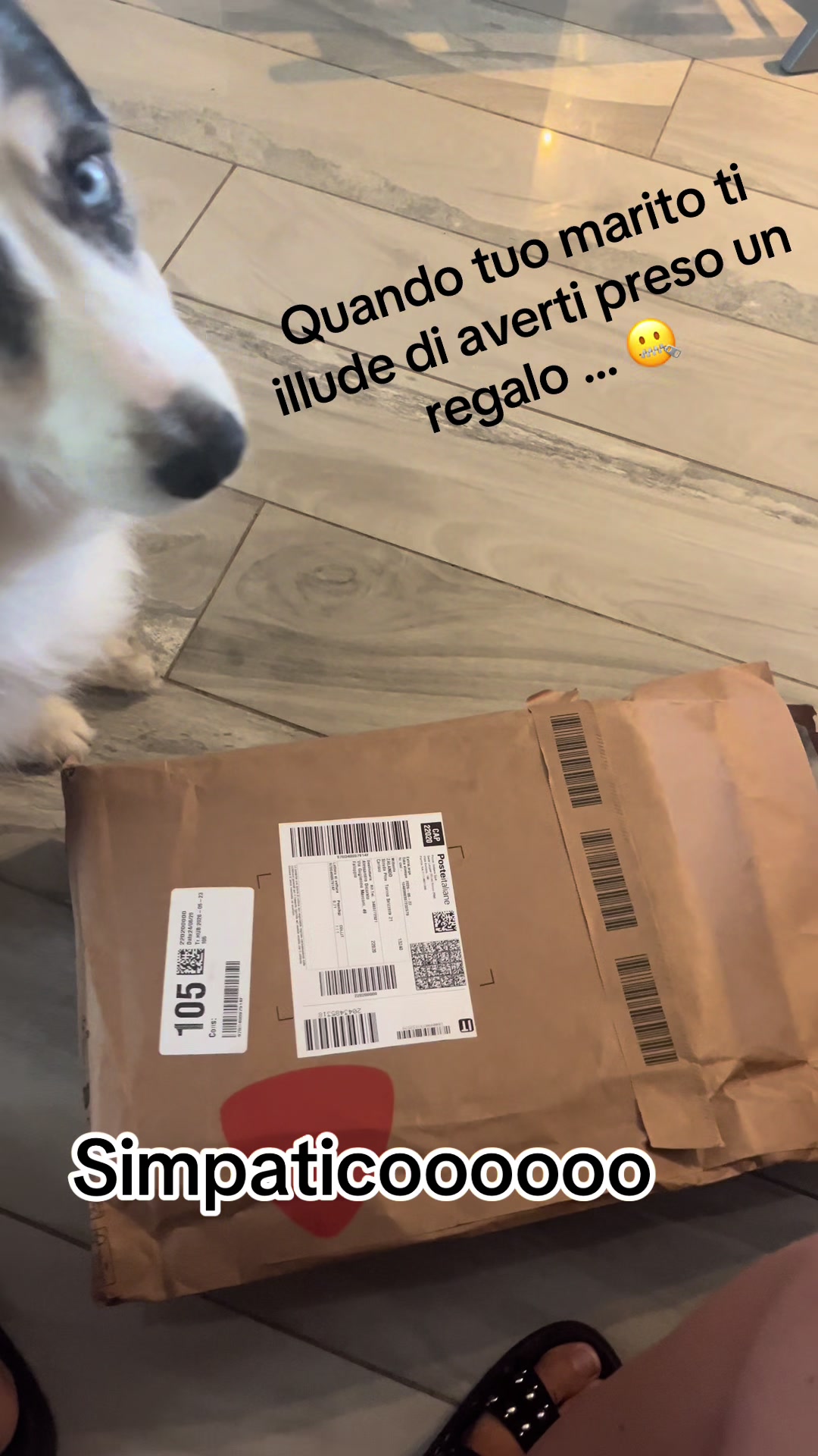 @Elisabetta Colucci