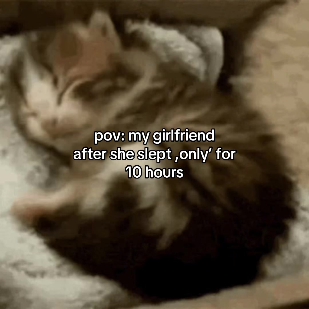 @Alice.cattok