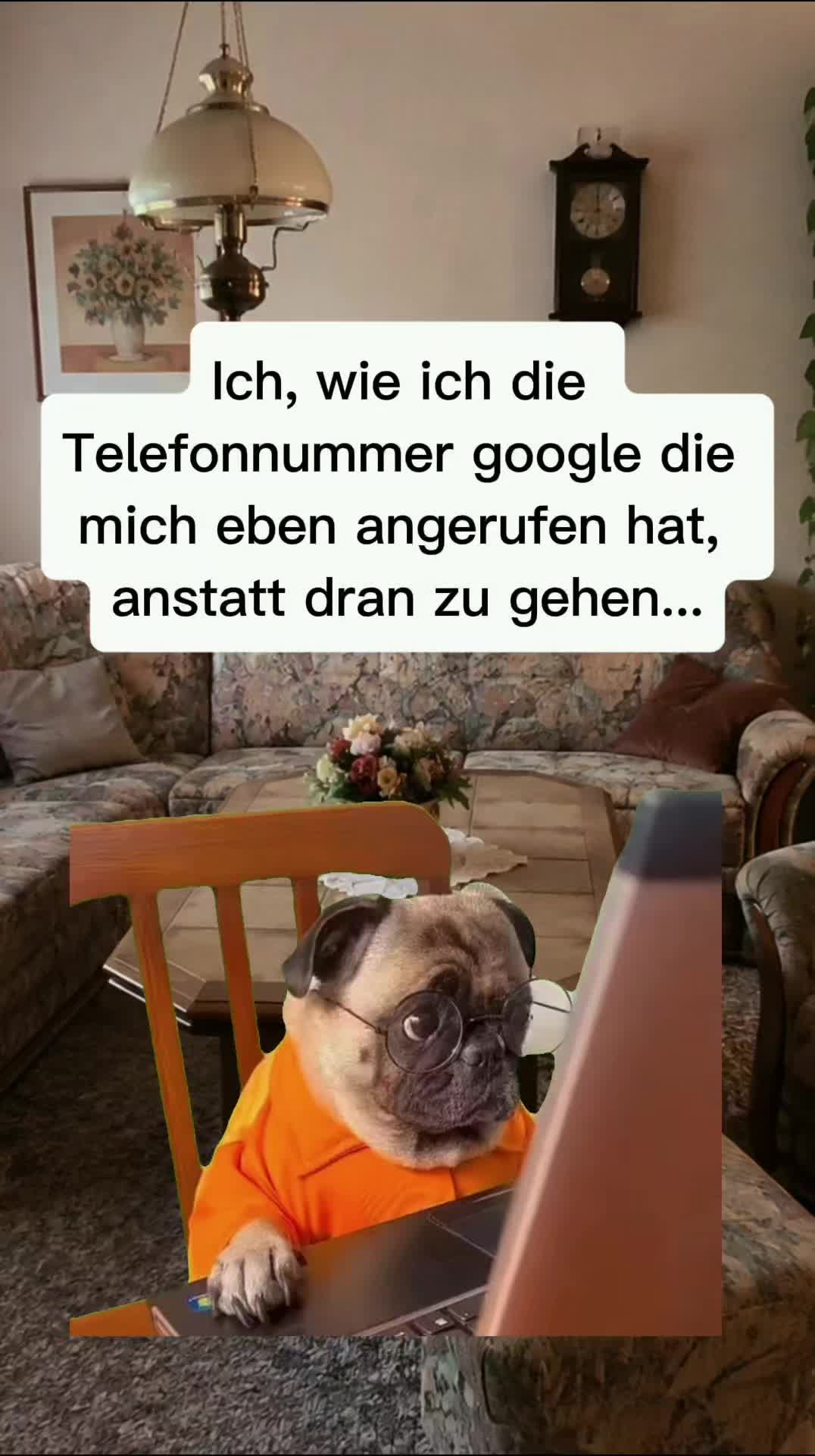 @teddys_tok_