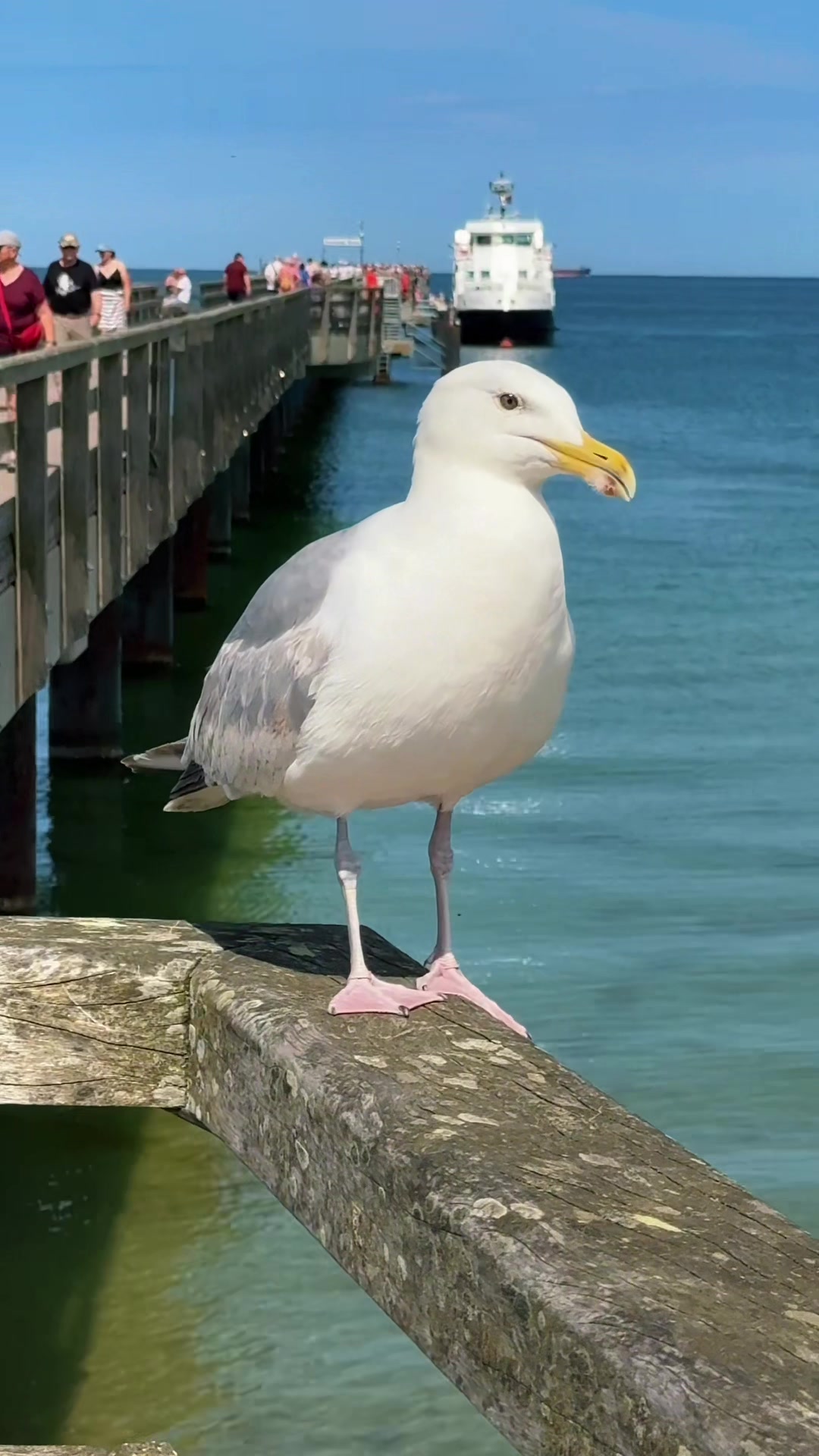 @ich_bin_ein_rüganer