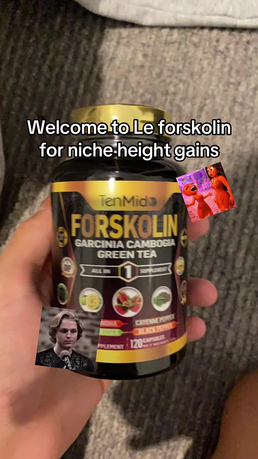@skifee