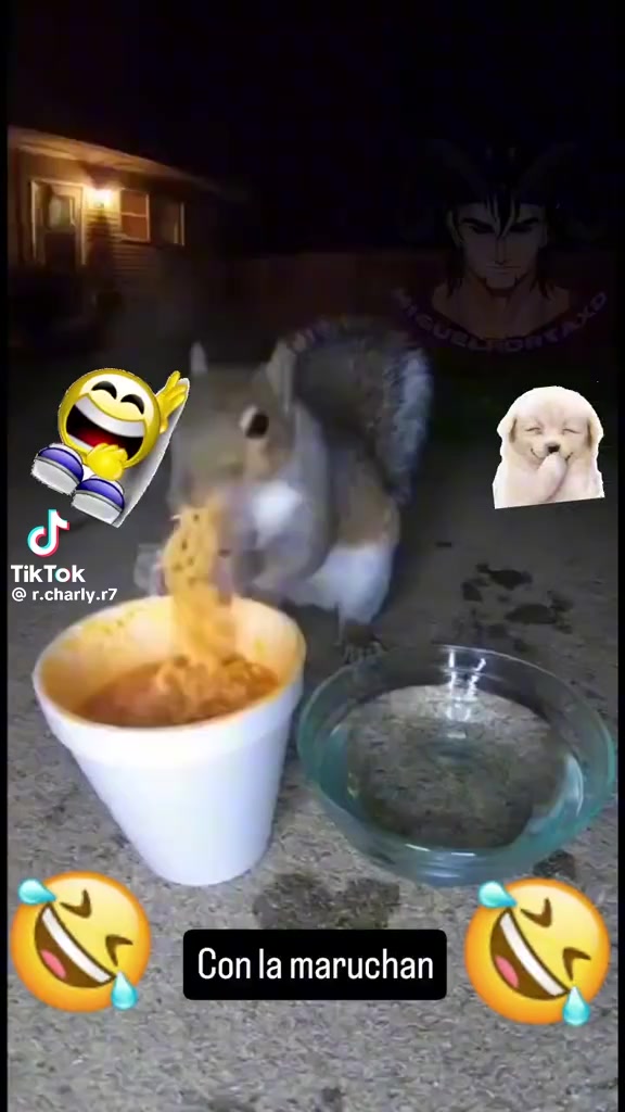 @Leoflow