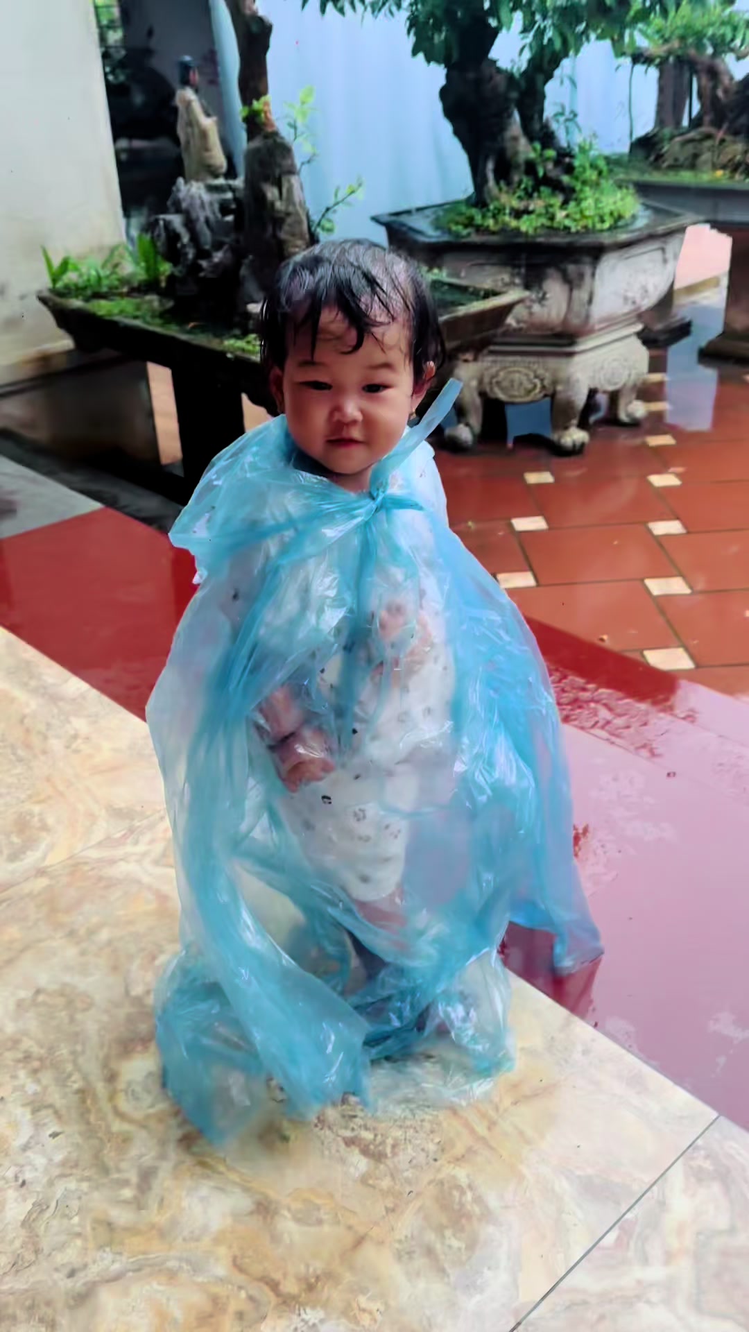 @💗 Hương Ch&iacute; Ph&egrave;o 💗