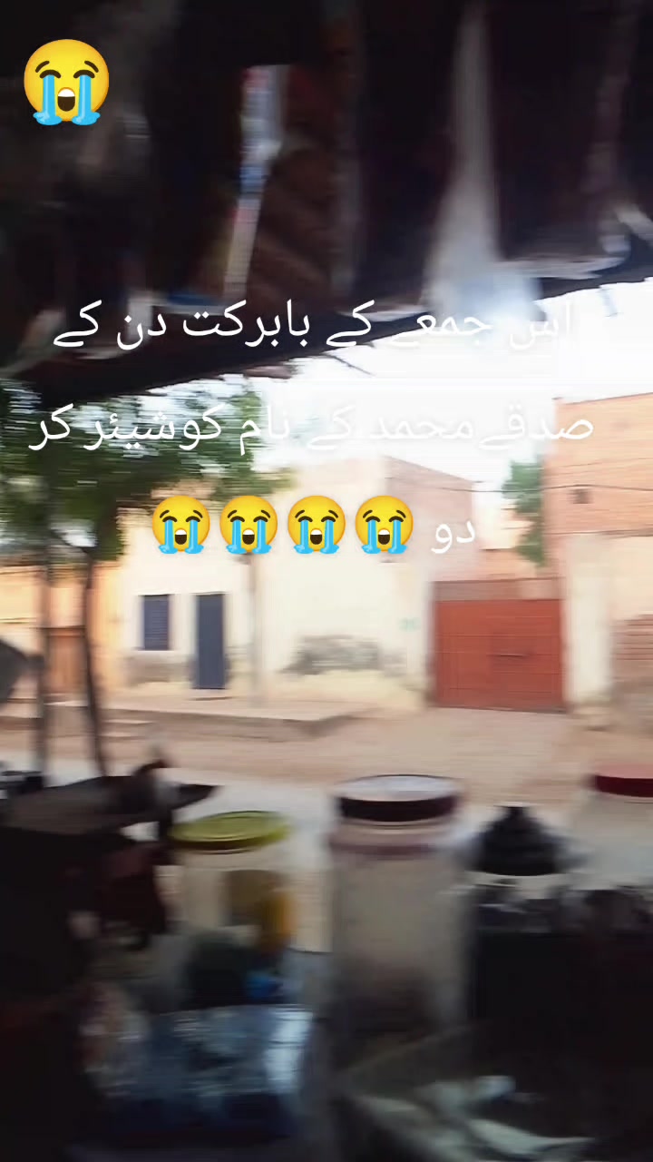@<'پاگل' ہو >🦋