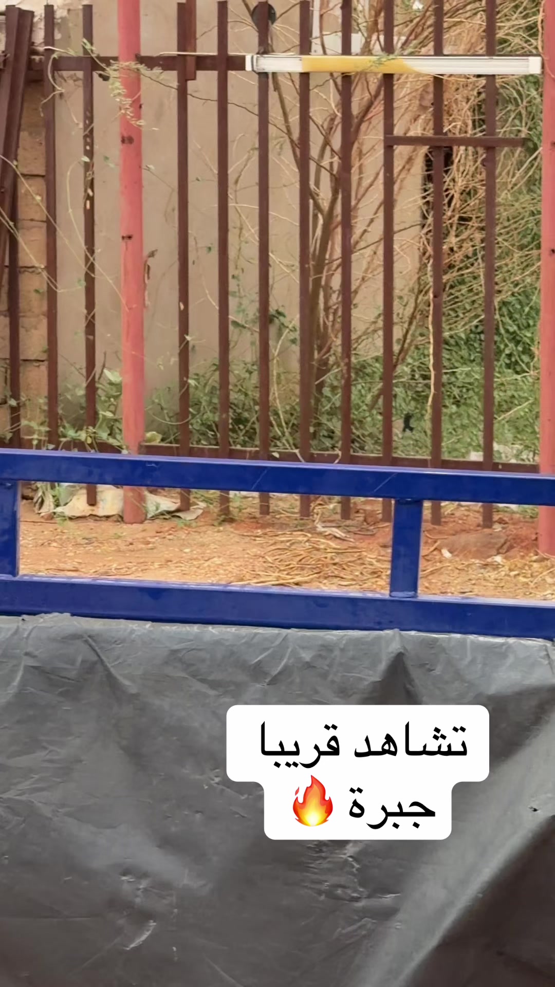 @Mohammed Mubarak✌️
