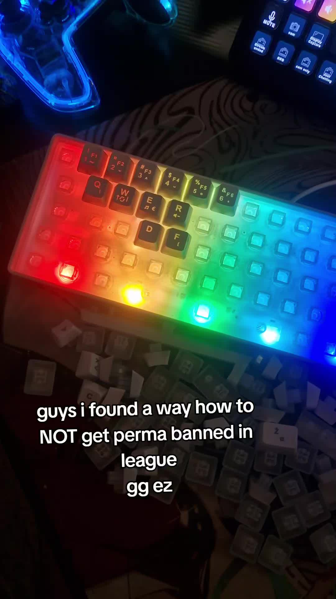 @Miss Kira
