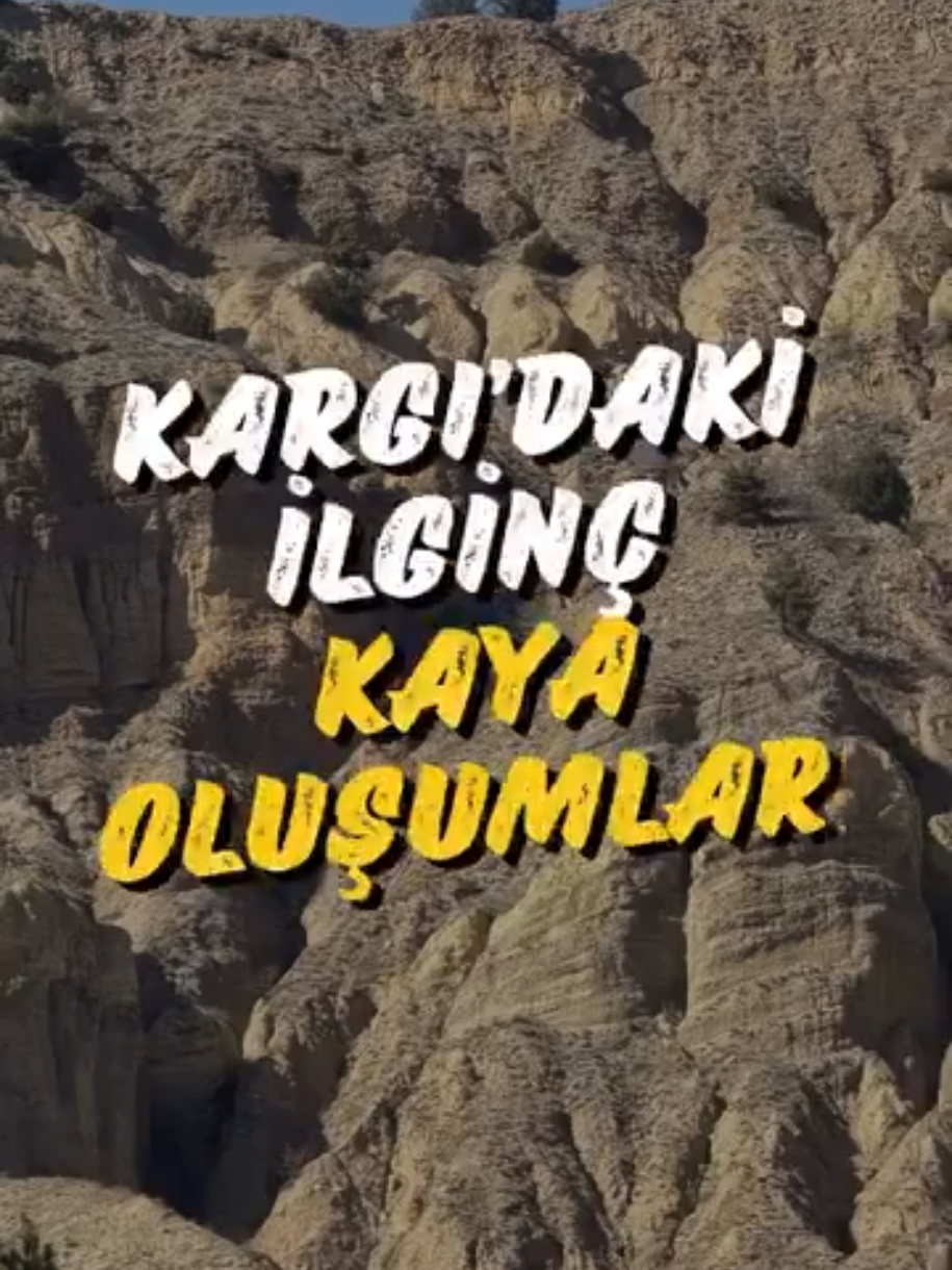 @Avrupadaki_Corumlular_19