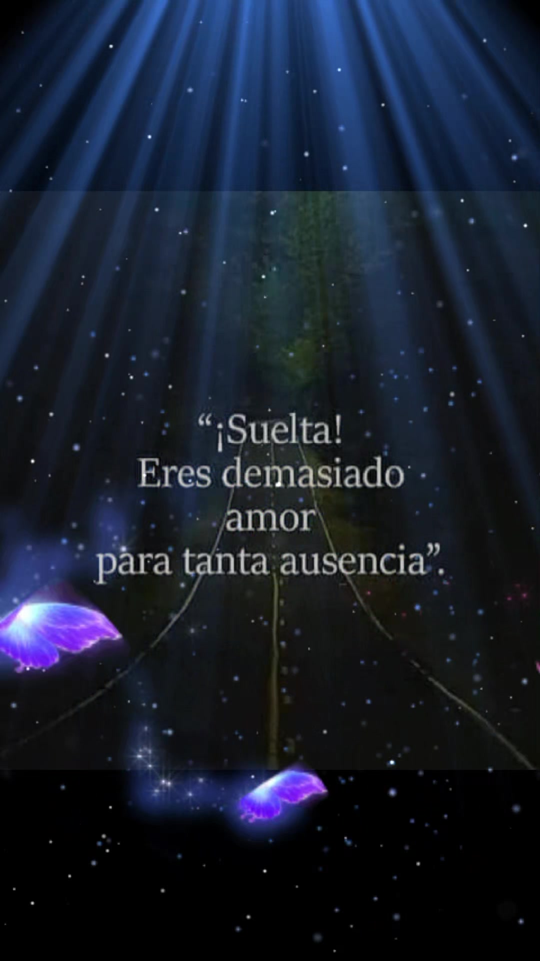 @andrea