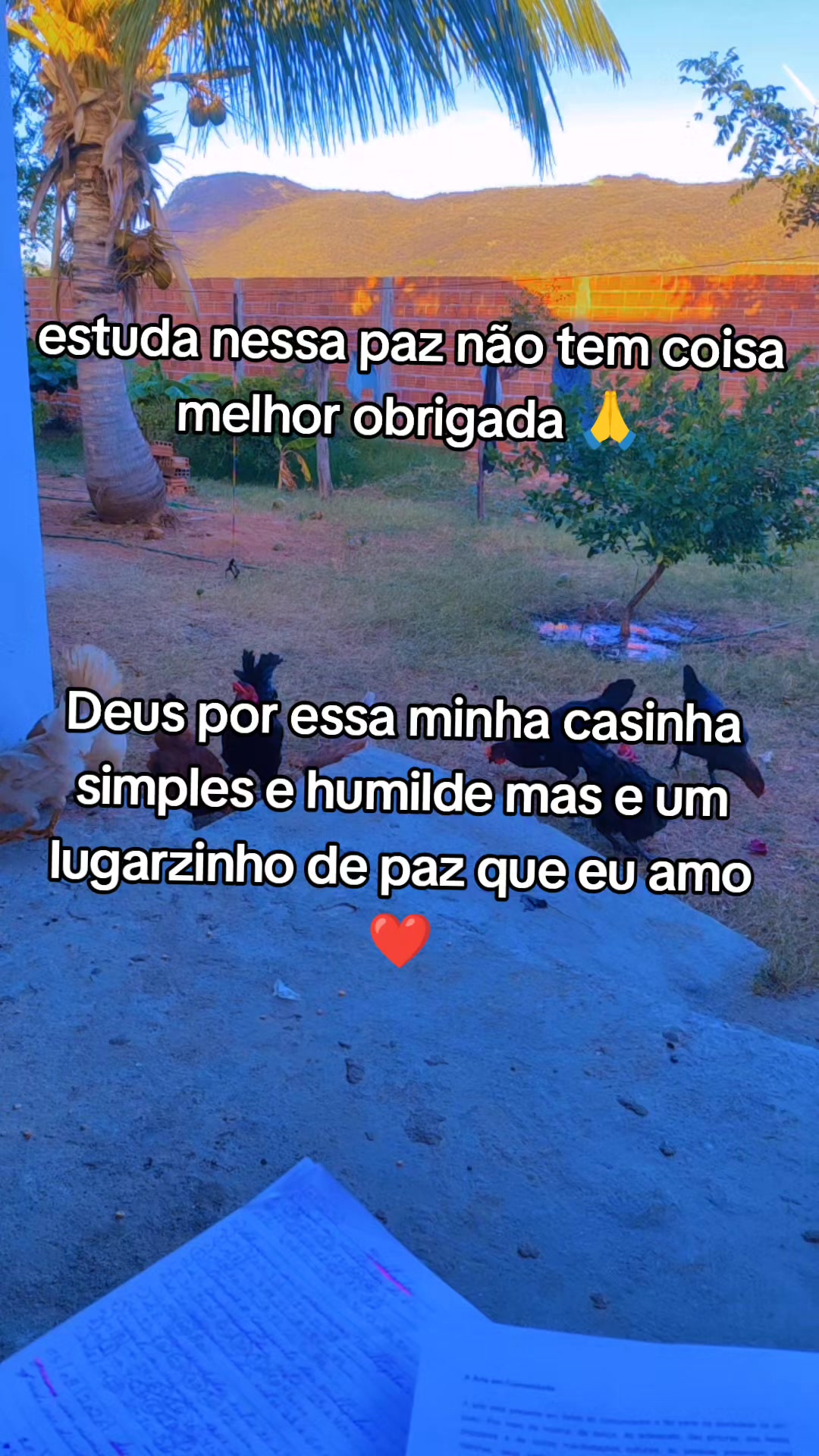 @josydospaizinhos