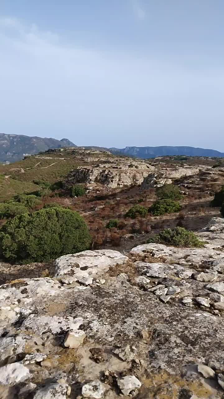 @francescocubeddu