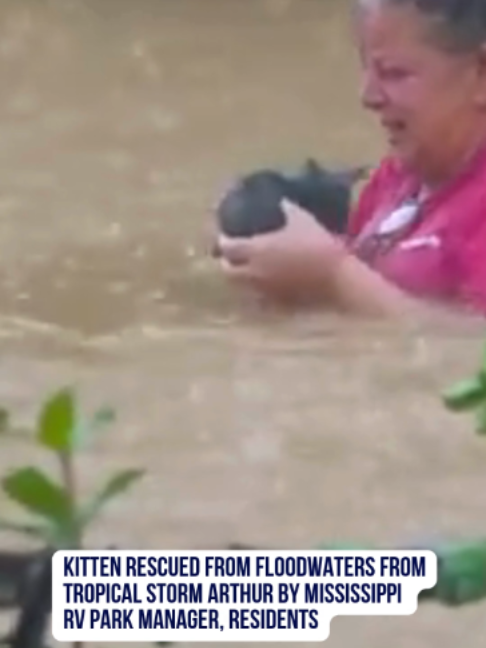 @WLBT