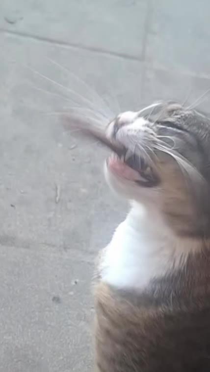 @pether