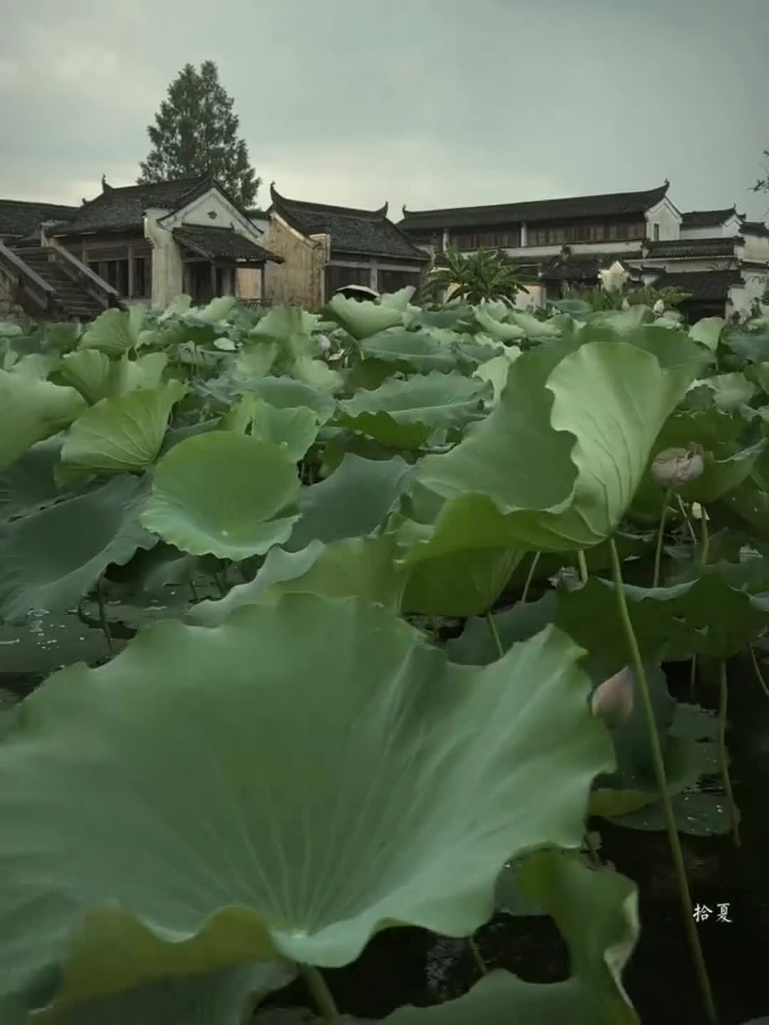 @風沙