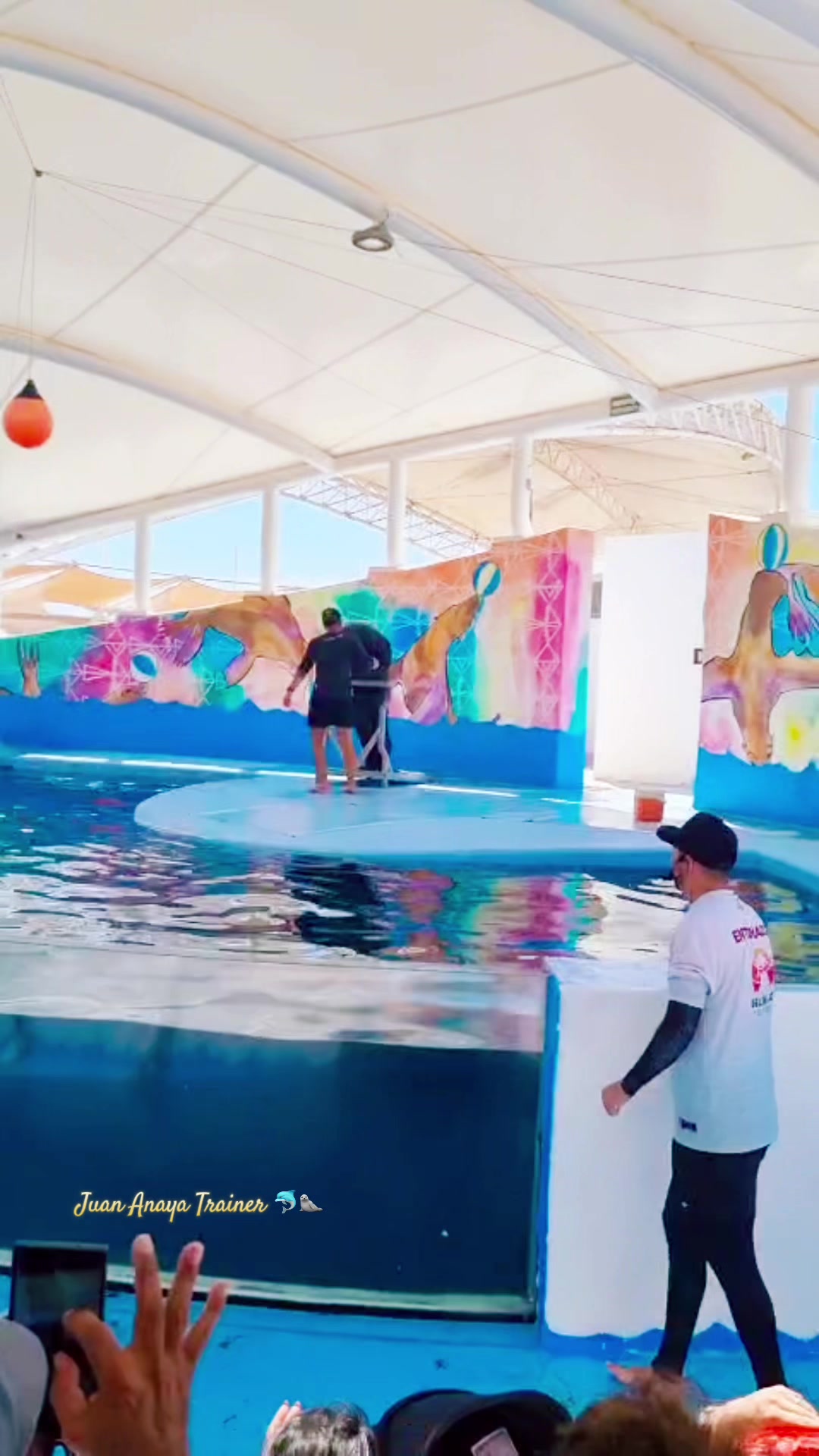 @Juan Anaya Trainer 🐬🦭