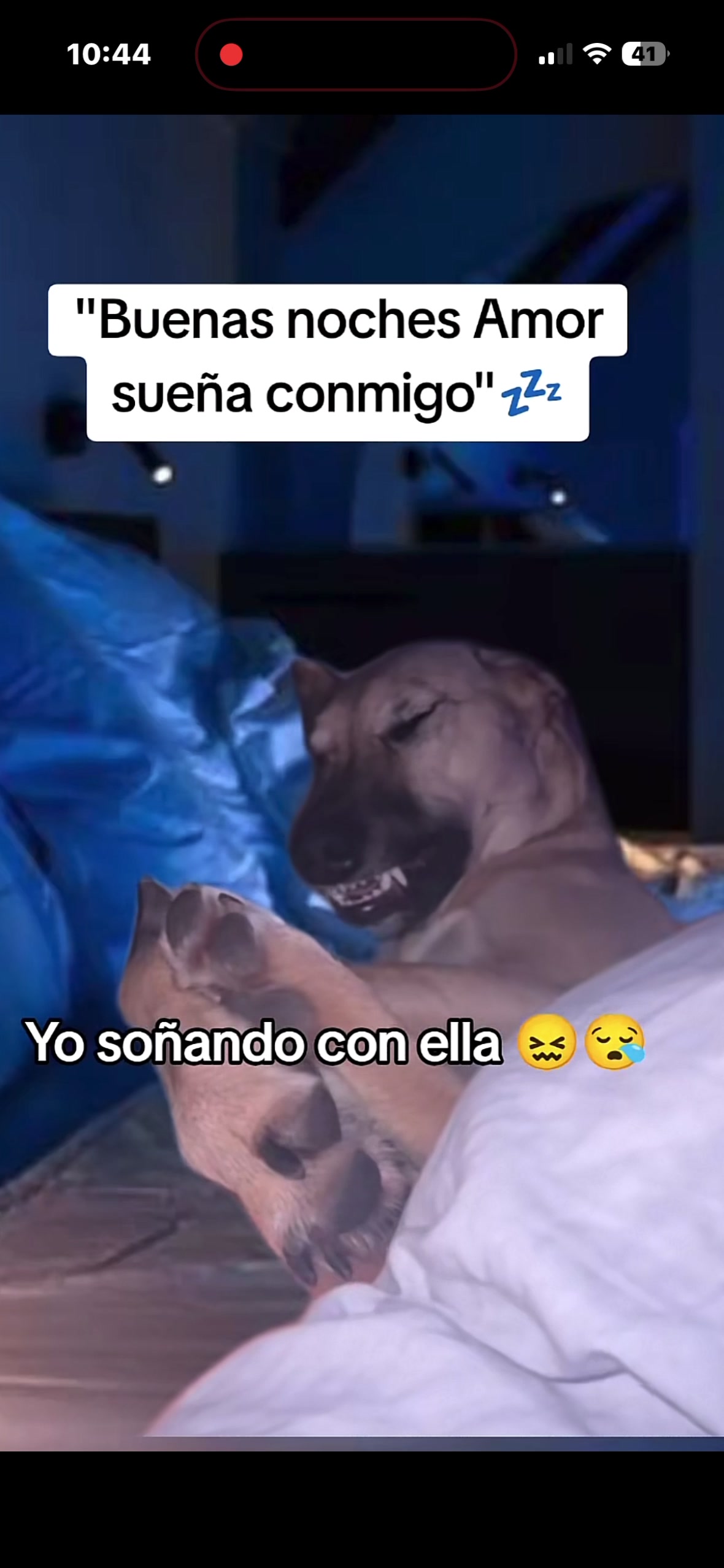 @Reynoso