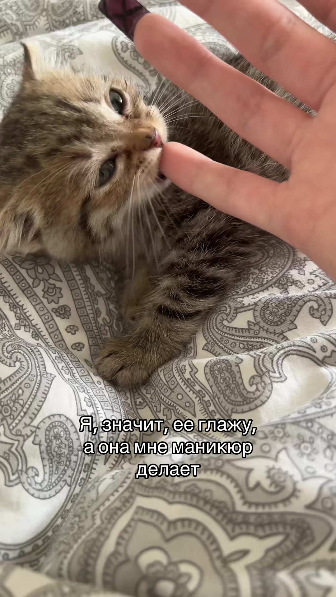 @~феня👅@