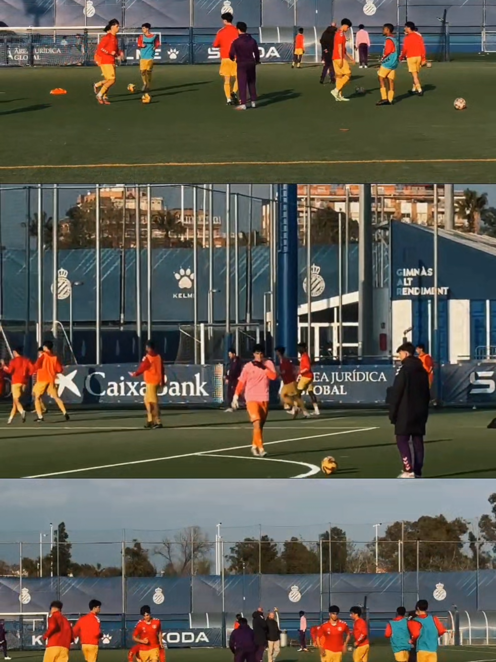 @fitfutperformance.osw