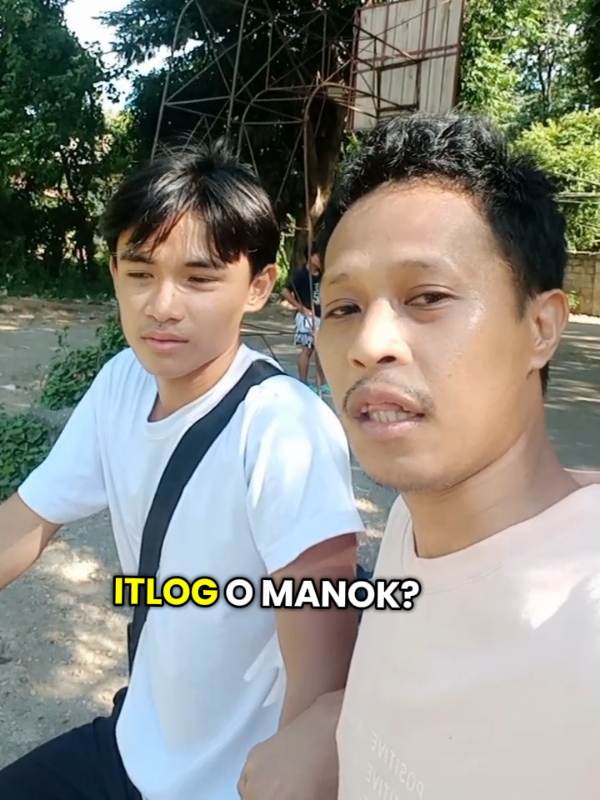 @Krazy Dong 2.0