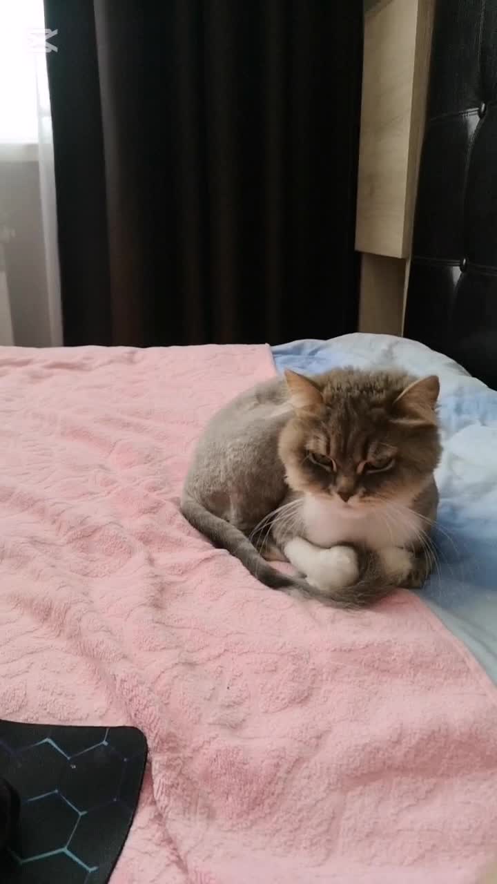 @ЕвГений