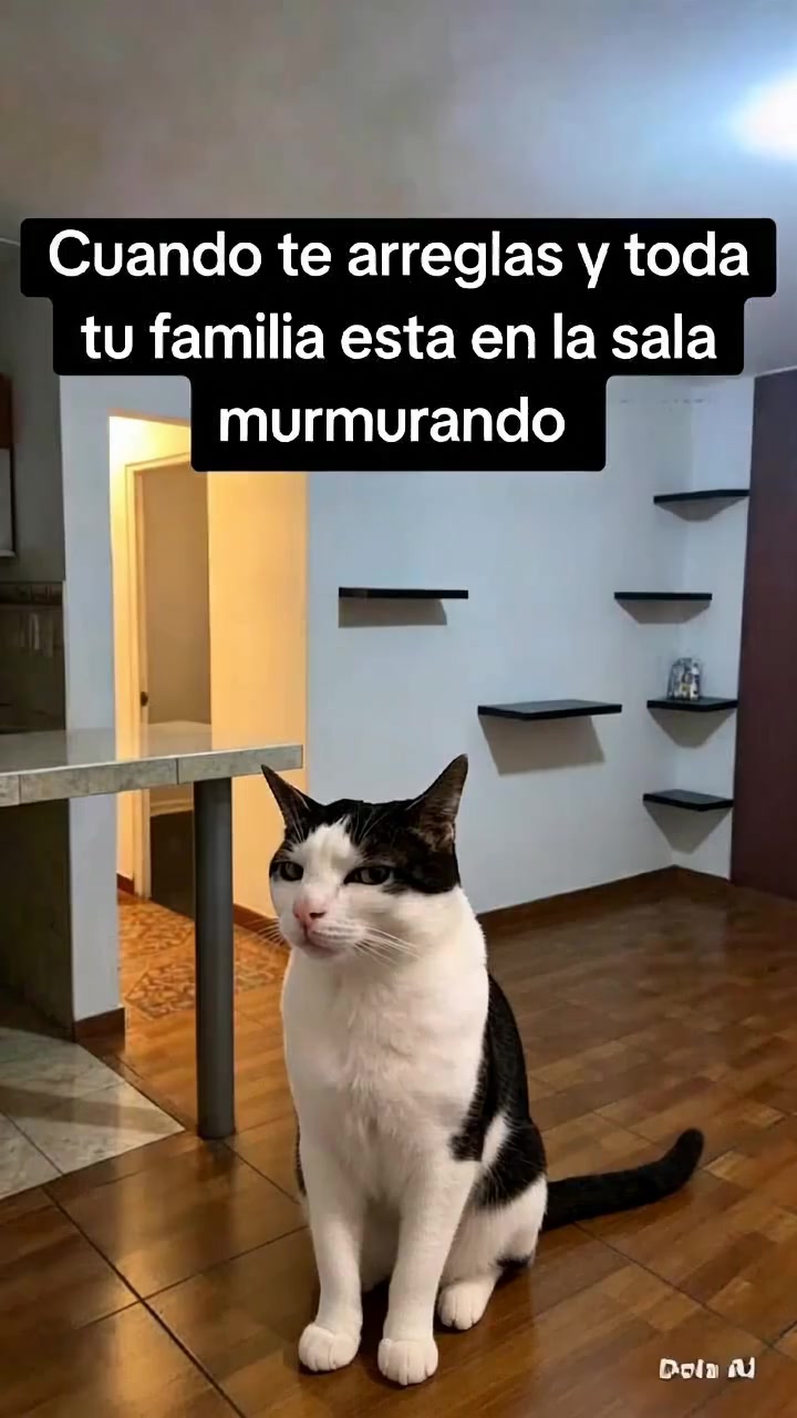 @memestristemariicruz🐈⬛ 🤣😔