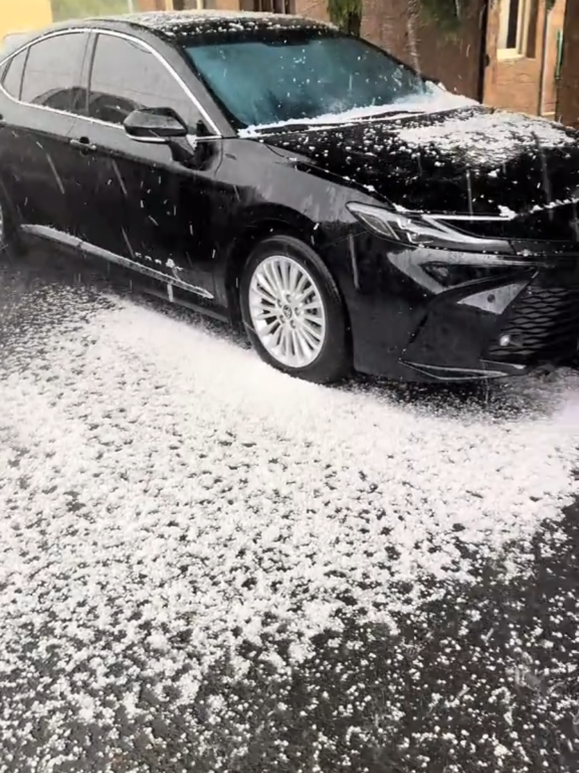@آبووسآم برق آلَساحل⚡️⛈️