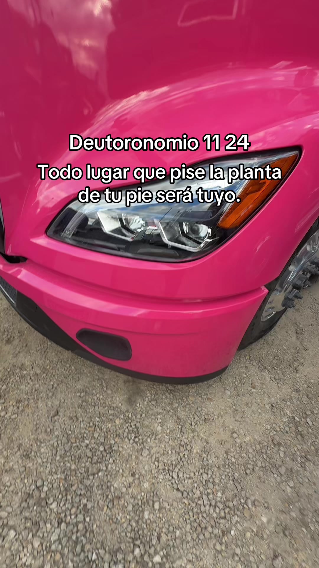 @Danna Arango