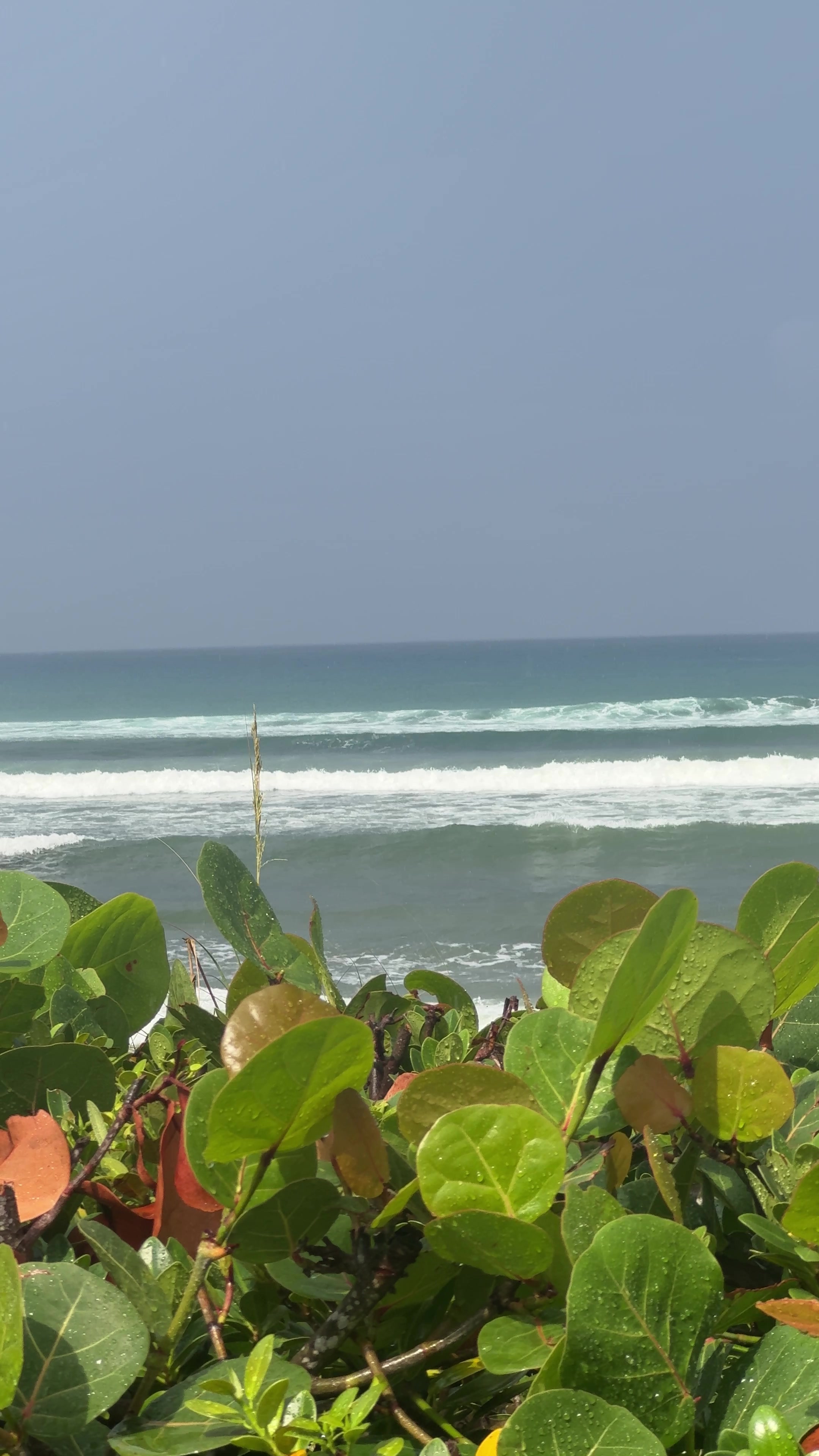 @AtlanticSurfLife