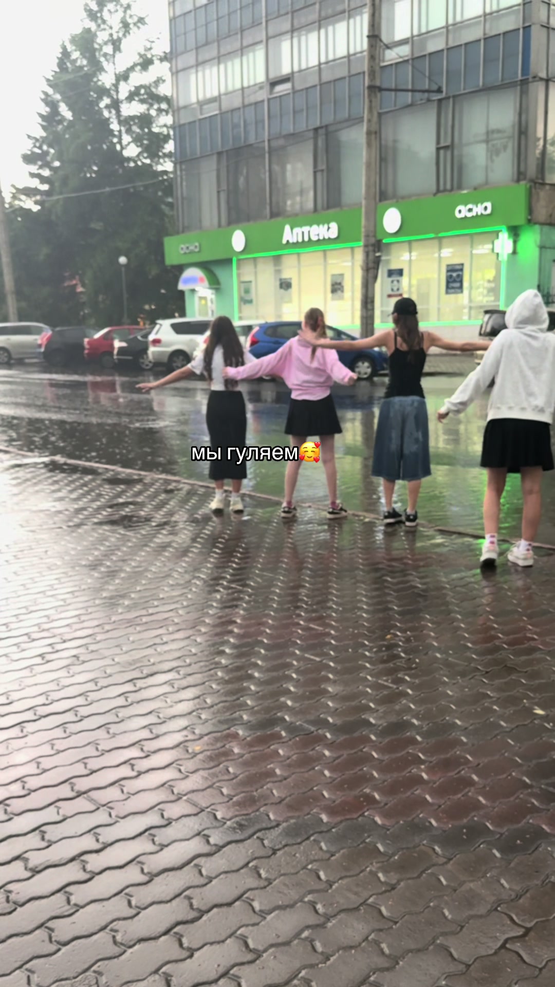 @светки на ветку